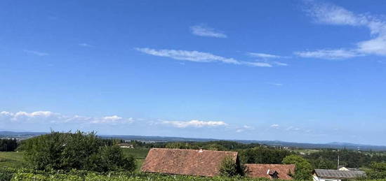 Am Ottenberg 8461 Ehrenhausen an der Weinstraße : Häuseraltbestand mit Weingarten Streuobstwiese und Wald