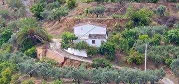 Finca rústica en venta en Comares