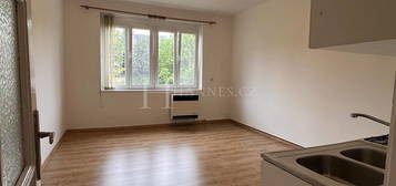 Pronájem bytu 1+kk 31 m²