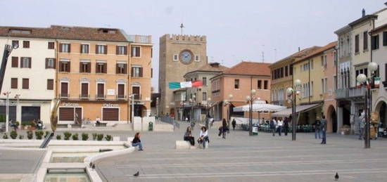 Appartamento in affitto in piazza Erminio Ferretto, 4