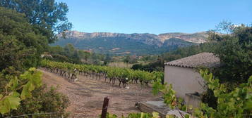 Casot 10m cadastré avec vigne de 8500 m carres