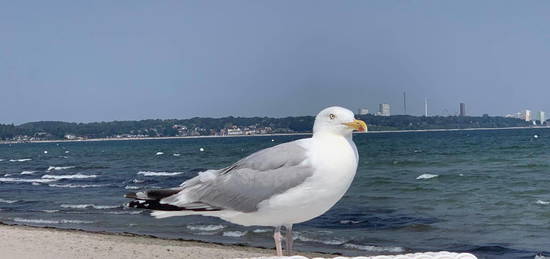 Scharbeutz, Strandallee,  55qm, 1 Zimmer, EG, Terrasse Süd/West