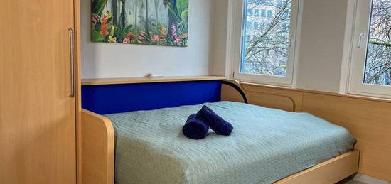 1-Zimmer Business Apartment mit Wlan, TV, Dusche/WC, Küche, Waschmaschine, Trockner