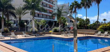 Estudio en venta en Playa de las Américas