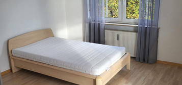 Schöne ruhige WG-Zimmer (2x) in IN-Süd