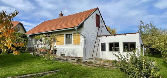 Rodinný dům, 80 m² + 1228 m² pozemek, Borek, Třebovle