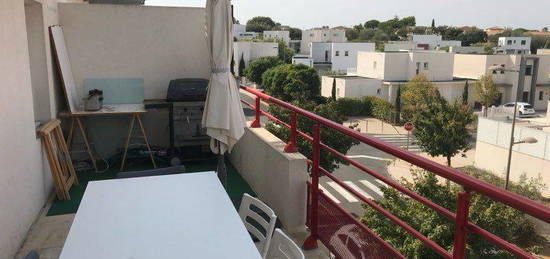 Appartement T2, grande terrasse dispo le 10 décembre