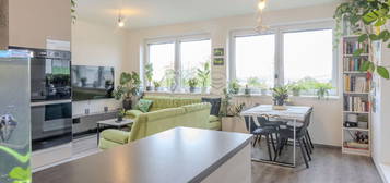 Byt 3+kk, 63 m², Komenského, Fryšták