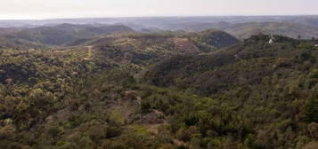 Quintinha Cercas do Pontal