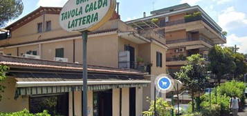 Attico all'asta in via Santa Giovanna Elisabetta, 32