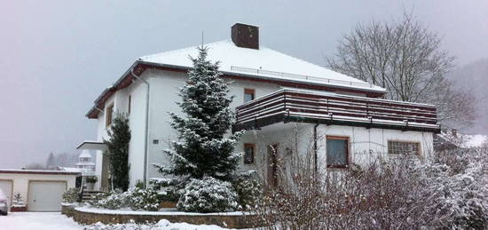 Großzügige Wohnung mit Garten in Aue