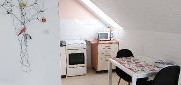 Appartement T1Bis les Cèdres Landivisiau