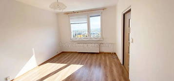 Pronájem bytu 1+1 33 m² (Jednopodlažní)