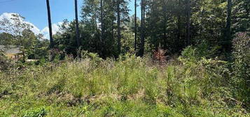 Lot 7 Armstrong Rd, Cedar Bluff, AL 35959