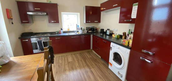 1 bedroom house share