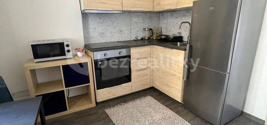 Pronájem bytu 1+1 40 m², Na Výtoni,