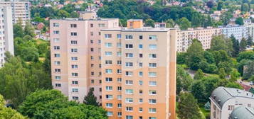 Prodej bytu 3+1, 59m², Borový vrch, Liberec