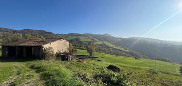 Proprietà rustica in vendita a Zocca