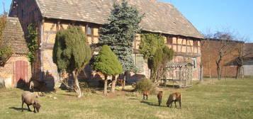 Bauernhof/ Resthof mit landw. Flächen/ Haus mit großem Grundstück