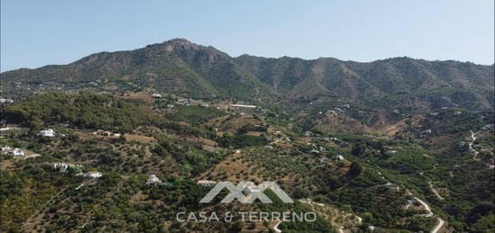 Finca rústica en venta en Frigiliana