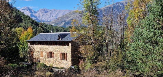 Casa o chalet en venta en Bisaurri