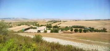 Finca r&#xFA;stica en Arcos de la Frontera