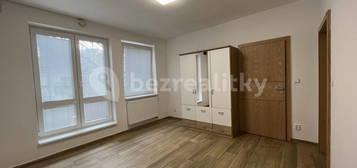 Pronájem bytu 1+kk 27 m², Potoční, Brno