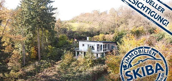 Wochenendhaus mit Weitblick in die Natur am Ortsrand von Plittersdorf (Lind)