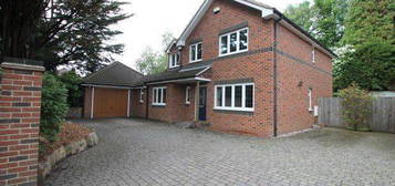 5 bed property to rent