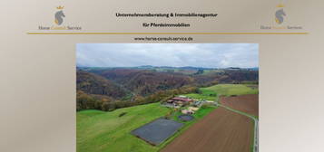 Hochrentable Reitanlage mit viel Land für artgerechte Pferdehaltung in Alleinlage