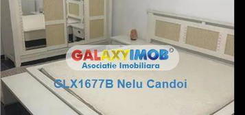 Inchiriere Apartament 4 Camere Rahova Sebastian