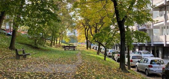 Felújított lakás parkra nyíló kilátással, Salgótarján belvárosában