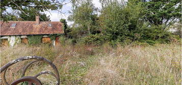 Maison Mur De Sologne à restaurer