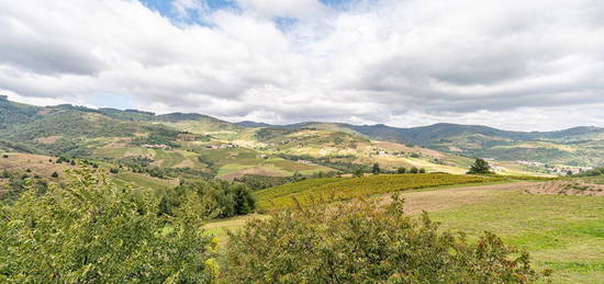 Maison avec dépendances et vue imprenable sur le Beaujolais vert