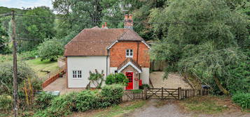 Detached house to rent in Snelsmore Common, Newbury RG14