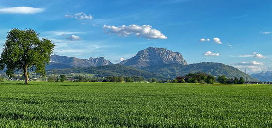 Land &amp; Gut: Genehmigter Wohn- &amp; Lebenstraum in Alleinlage.