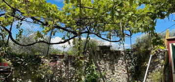 Casa semi indipendente con giardino e vista mare