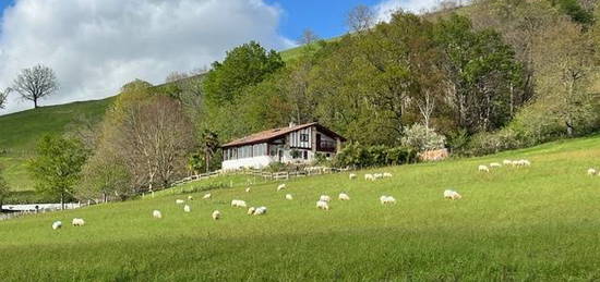 Superbe vue et calme garanti pour cette maison basque tradit