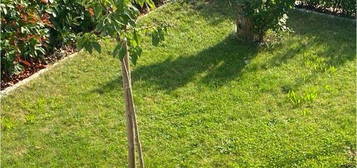 naturnahe Wohnung Nittendorf Schönhofen