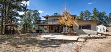 351 Mesa Dr, Florissant, CO 80816