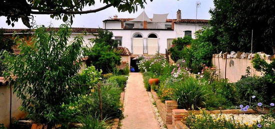 Casa en calle Teodoro Dominguez en Galaroza