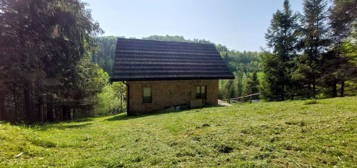 Dom 87m2 w dolinie przy lesie Milówka / Laliki