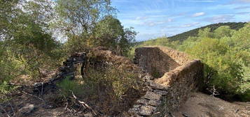 Quinta com Ruina para reconstruir no Alentejo com olival tradicional