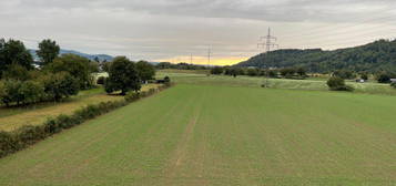 Erstbezug - kernsanierte 3.5-Zi-Whg. in Herten mit Aussicht