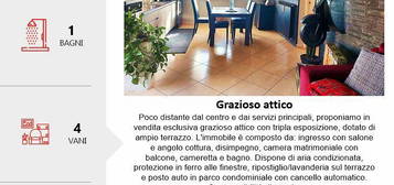 Grazioso attico con ampio terrazzo e cantina