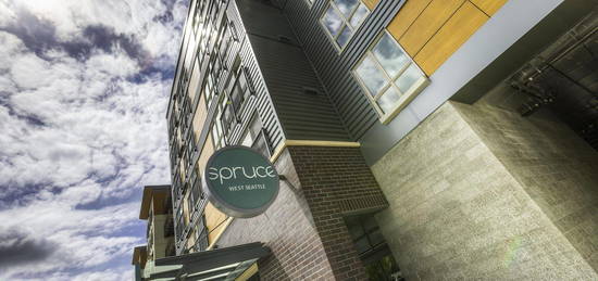 Spruce, Seattle, WA 98116