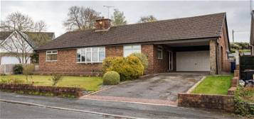 Detached bungalow to rent in Sedbergh Close, Seabridge, Newcastle Under Lyme ST5