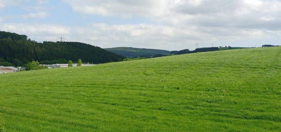 Wohnung in Olzheim