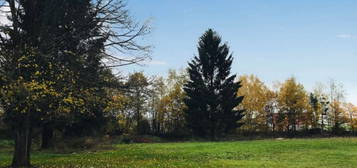 HOMBURG; MODERNE 2 ZKB WOHNUNG MIT STELLPLATZ UND GARTENMITBENUTZUNG