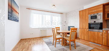 Pronájem bytu 1+1 28 m²